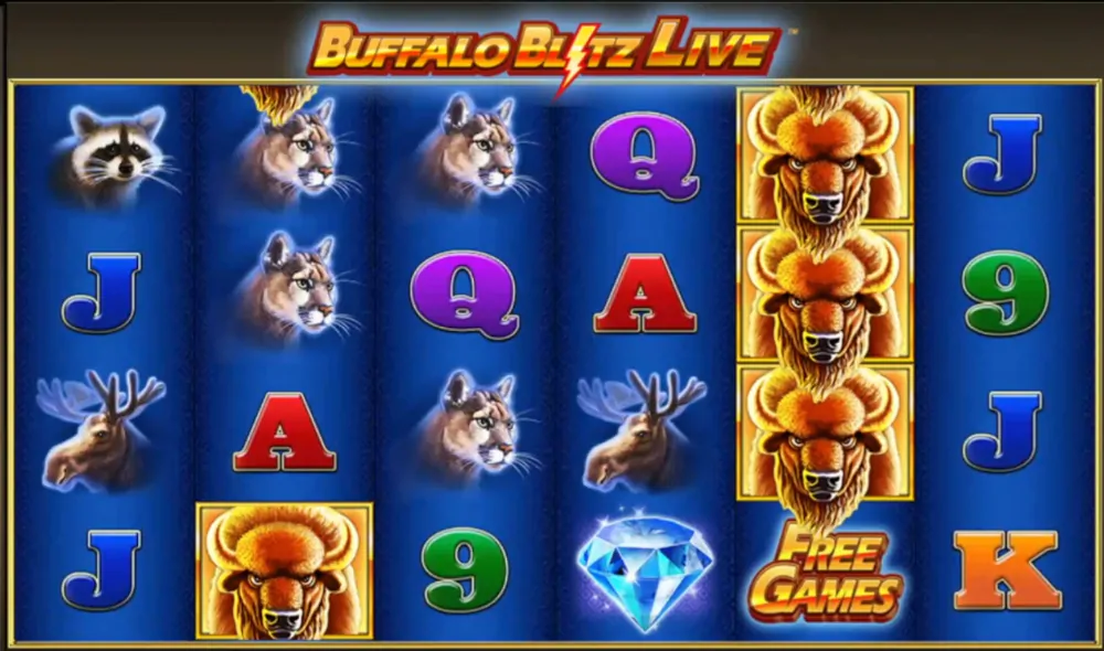 Buffalo Blitz Live símbolos